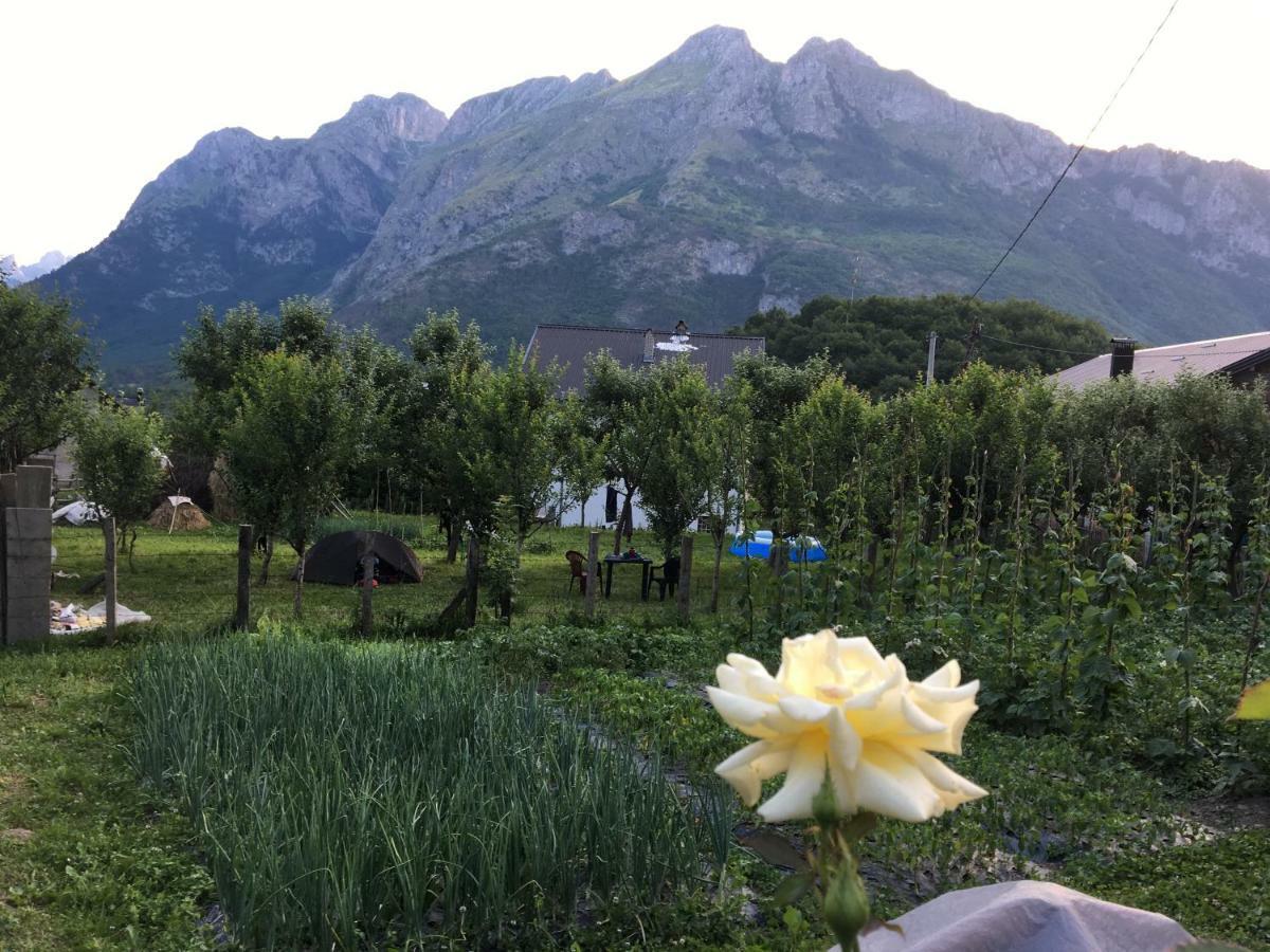 Guest House Ulaj Vusanje ภายนอก รูปภาพ